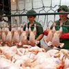 A Ucrânia proibiu a exportação da carne de aves da China � Ministério do comércio da China.